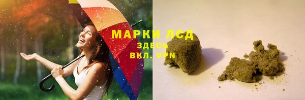 шишки Арсеньев