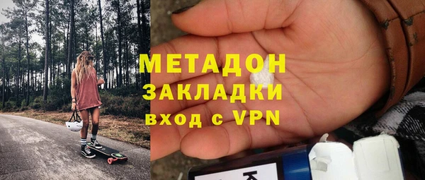 шишки Арсеньев