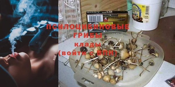 ешки Новозыбков