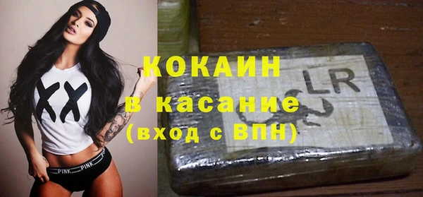 шишки Арсеньев