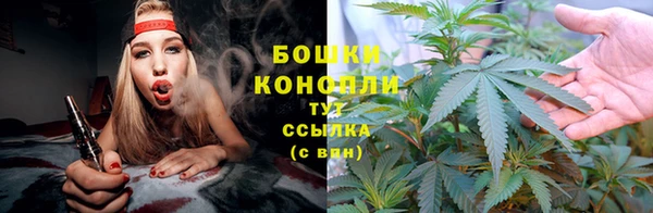 шишки Арсеньев