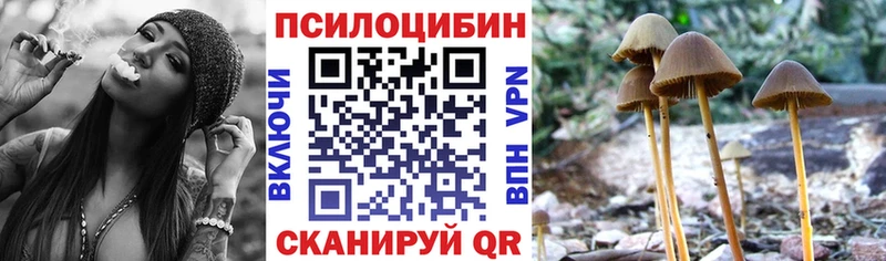 hydra зеркало  цены наркотик  Очёр  Псилоцибиновые грибы прущие грибы 